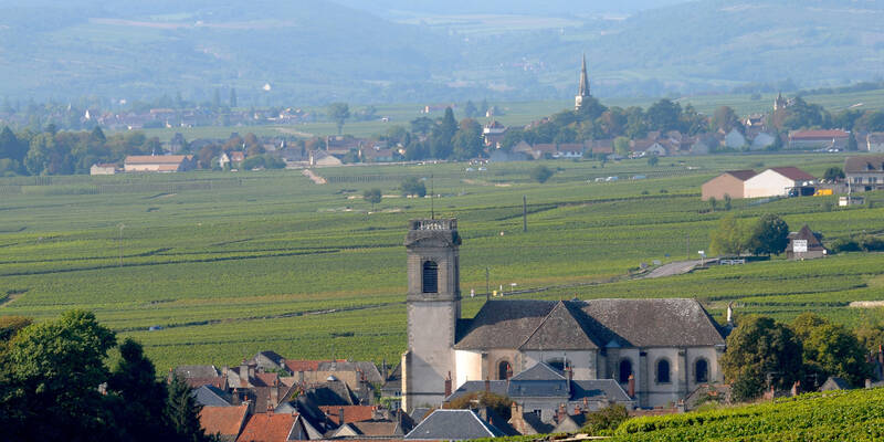 Village de Pommard