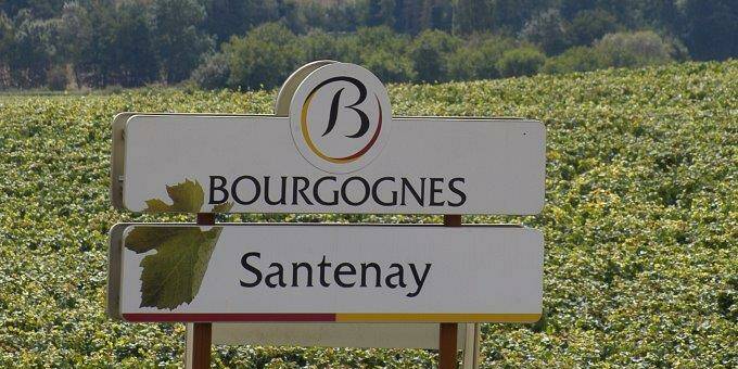 Appellation Santenay