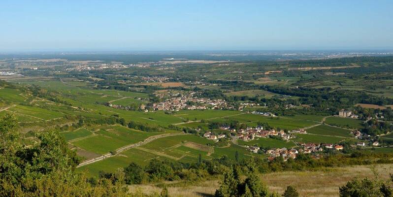 Paysage à Santenay